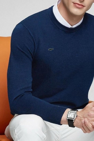 Herensweaters Met Borduurlogo En Lange Mouwen Casual Gebreide Kleding Jassen Voor Mannen