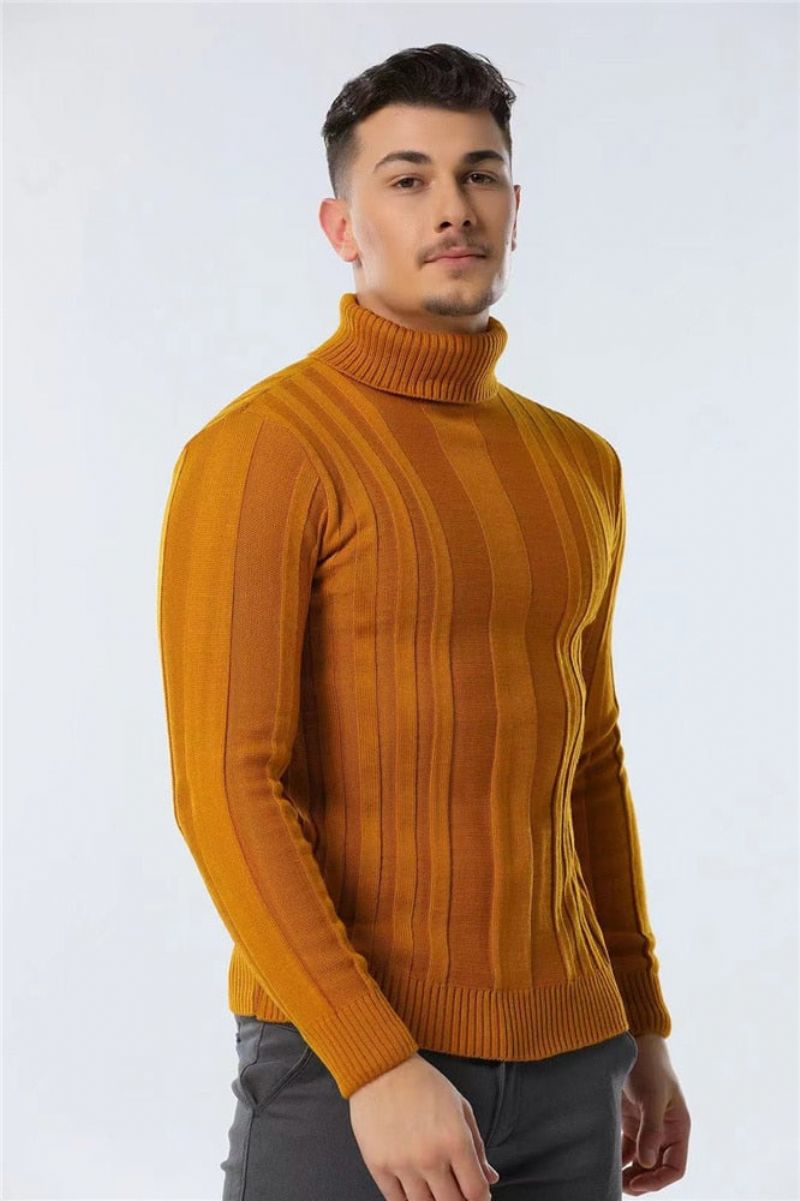 Slim Fit Truien Coltrui Heren Casual Basic Effen Kleur Warm Gestreepte Trui Nieuwe Wintertruien Mannelijke