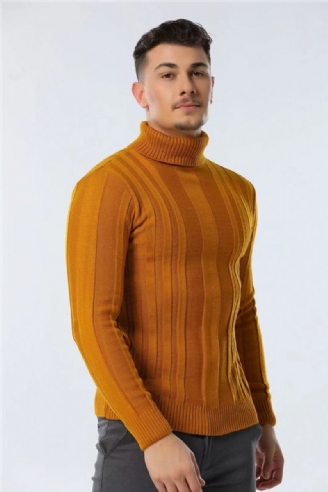 Slim Fit Truien Coltrui Heren Casual Basic Effen Kleur Warm Gestreepte Trui Nieuwe Wintertruien Mannelijke