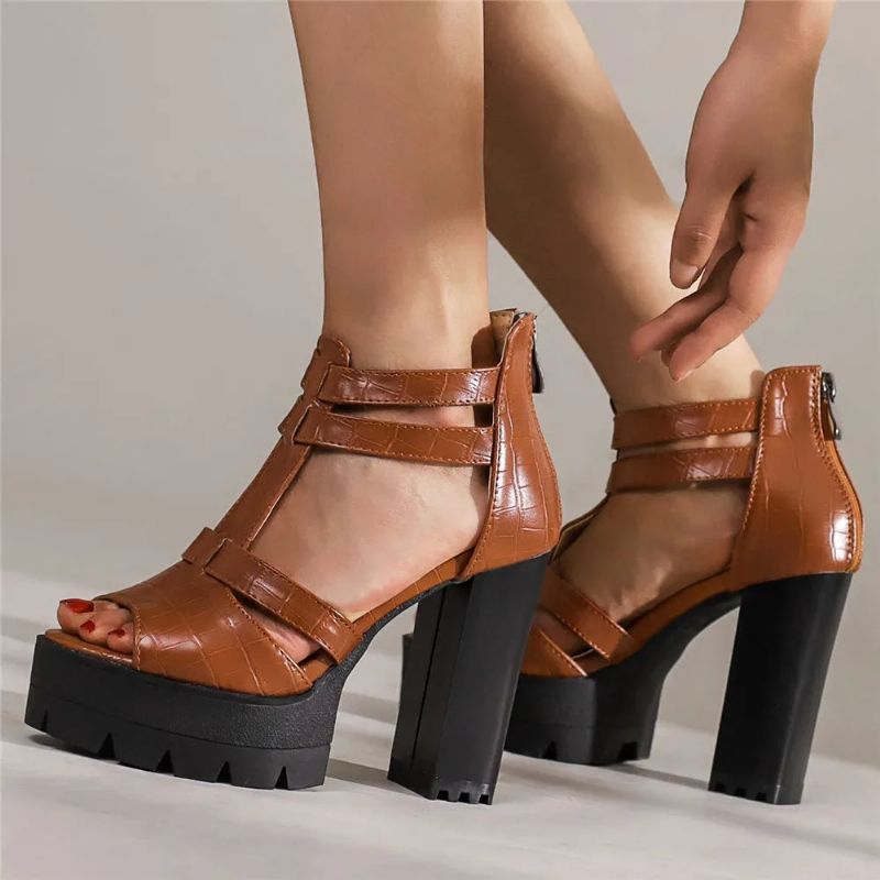 Pumps Zomerschoenen Voor Dames Sandalen Platform Rome Dikke Hakken - Zwart